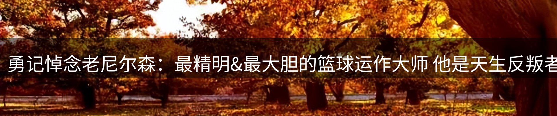 体育资讯