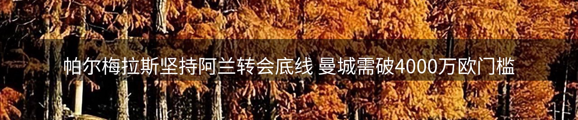 体育资讯
