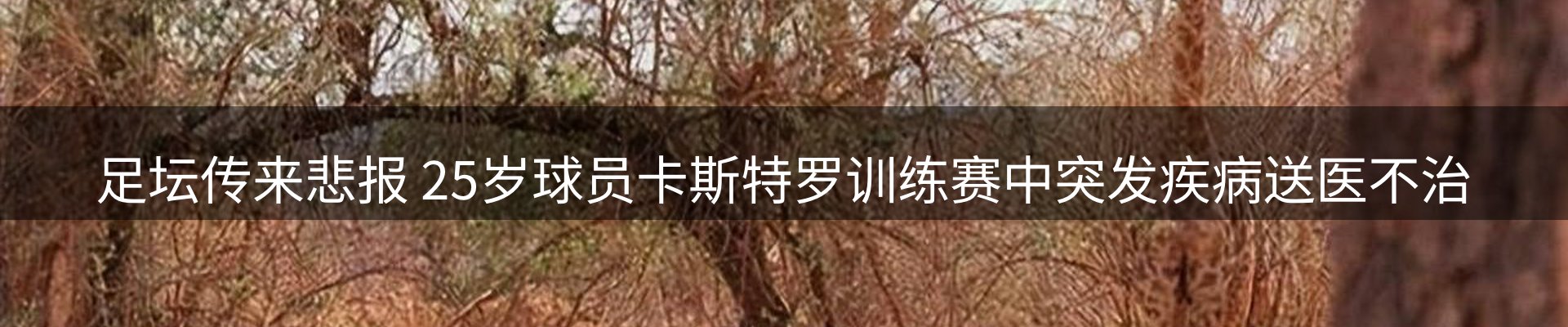 体育资讯